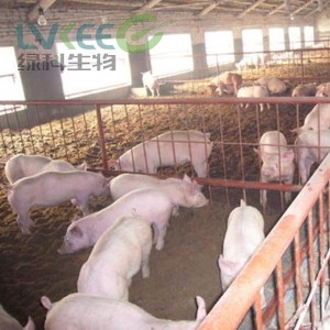 扬州本地养猪户使用江苏绿科专门养猪复合益生菌的案例！