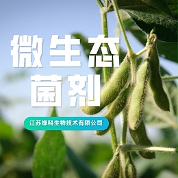 微生物菌肥对大豆发育及根际土壤的影响