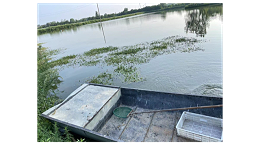 降低河蟹缺氧死亡量增多处理案例