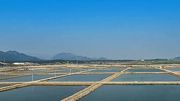 【技术分享】春季气温不稳定，蟹苗上岸现象频发，该如何处理？