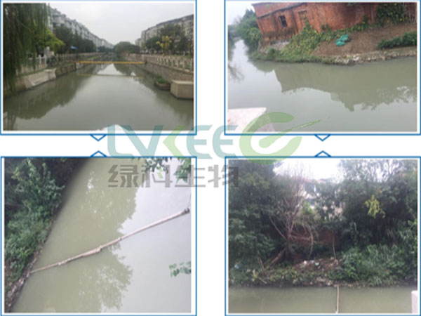 扬州市某河水为处理