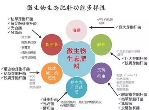 微生物生态肥料功能多样性