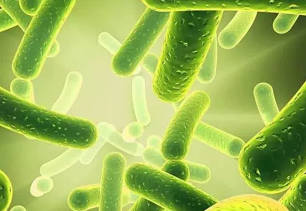 微信图片_20210910135606 微信图片_20210910135606