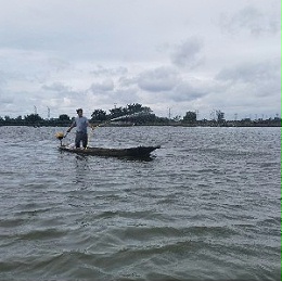 水产养殖中复合益生菌起着重要的辅助作用