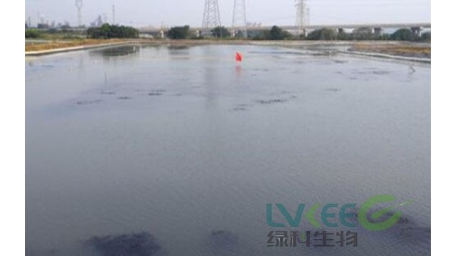 9月蟹塘调水长草怎么办？