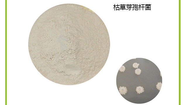 枯草芽孢用量少防效好，增产又增收！
