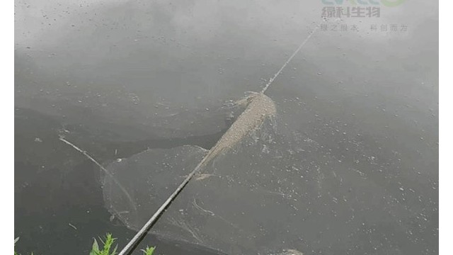 下风口油膜产生的原因？处理方法！
