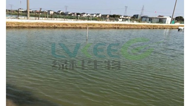 如何发挥芽孢杆菌对水产养殖环境的净化作用？
