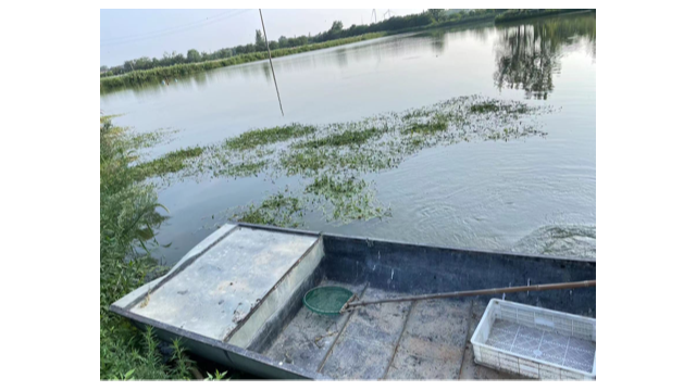 降低河蟹缺氧死亡量增多处理案例