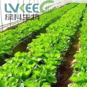 新疆乌苏市某肥业有限公司使用江苏绿科复合益肥菌案例！