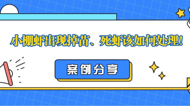 【案例分享】小棚养殖出现掉苗、死虾严重该如何处理！