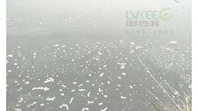 塘口油膜过多，怎么处理油膜？