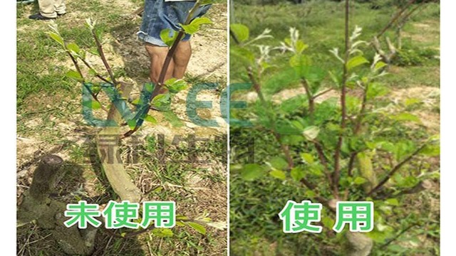 天啊！枯草芽孢杆菌广东种植场都用它种植蔬菜直供香港地区！